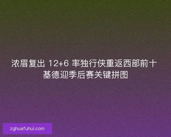 浓眉复出 12+6 率独行侠重返西部前十 基德迎季后赛关键拼图